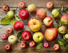 Image result for Love Apple Fruit