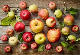 Image result for Apple Heading Fruits