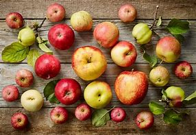 Image result for Apple Types