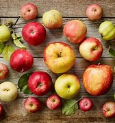 Image result for Apple Varieties by Region