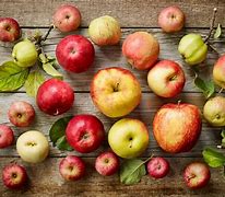 Image result for UK Dessert Apple Varieties