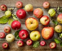 Image result for 4 Types of Apple's