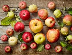 Image result for How Many Types of Apples