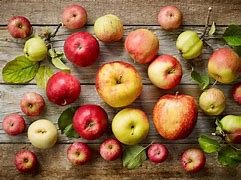 Image result for What Color Is an Apple