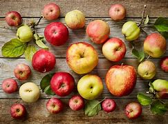 Image result for Fiuo Line of Apple