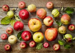 Image result for Silver's Apple Variety