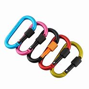 Image result for Large Carabiner Clip