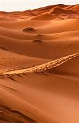 Image result for Sahara Desert Background