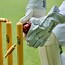 Image result for Cricket Bowling Kit