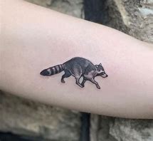 Image result for Raccoon Tattoo