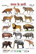 Image result for Animals in Hindi Art
