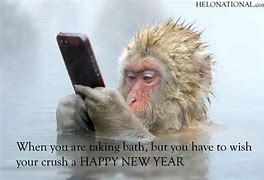Image result for New Year Jokes 2021