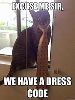 Image result for Dress Up as a Meme