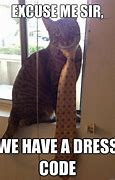 Image result for Dress Down Meme