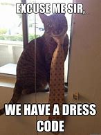 Image result for Dress Up Meme Funny