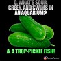 Image result for Memes Dirty Pickle