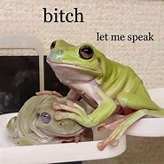 Image result for Froggie Meme