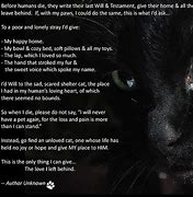 Image result for Dead Cat Quotes