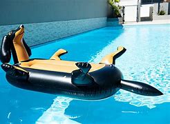 Image result for Canvas Pool Floats for Adults