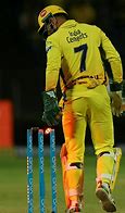 Image result for Cricket Players