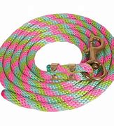 Image result for Nylon Lead Rope