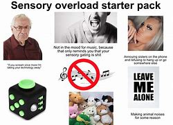 Image result for Sensory Overload Meme