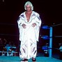 Image result for Ric Flair Style