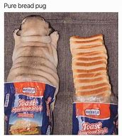 Image result for Bread Pug Meme