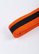 Image result for Jiu Jitsu Belts