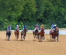 Image result for Horse Racetrack Finish