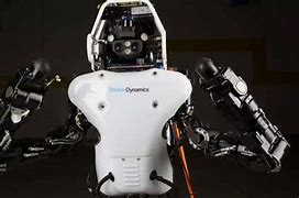 Image result for Amazing Robots