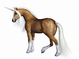 Image result for Real Unicorn Transparent