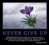 Image result for John Cena Never Give Up Wallpaper