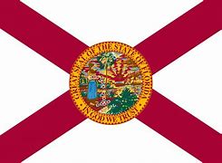 Image result for Florida Flag Small