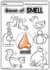 Image result for 5 Senses Worksheet Preschool Coloring
