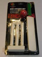 Image result for Mini Journal with Cricket