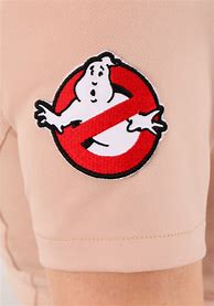 Image result for Ghostbusters Afterlife Costume