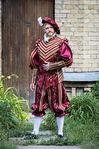 Image result for Renaissance Men's Costumes