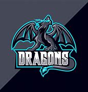 Image result for Dragon Sports Logo