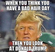 Image result for Bad Hair Day MEME Funny