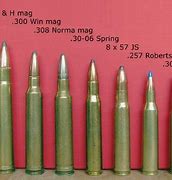 Image result for 30 06 Springfield Vs.308