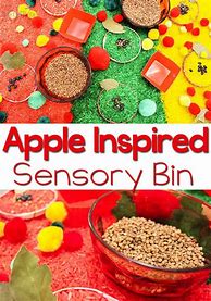 Image result for Apple Sensory Bin