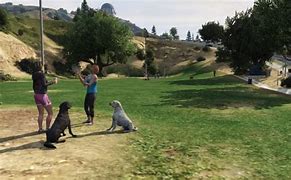 Image result for GTA 5 Dog Park Location