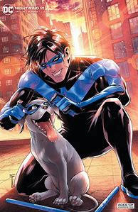 Image result for DC Comics Nightwing Dragon