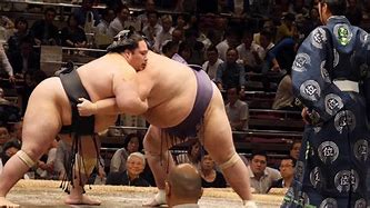Image result for Grand Sumo