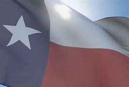 Image result for Texas with Arizona Flag