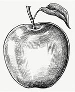 Image result for Shaded Apple Clip Art