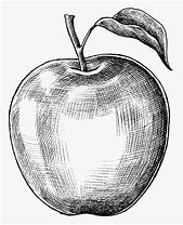 Image result for Drawing an Apple