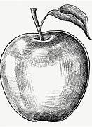 Image result for Apple Drawing Anime