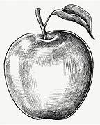 Image result for Single Line Drawing Apple